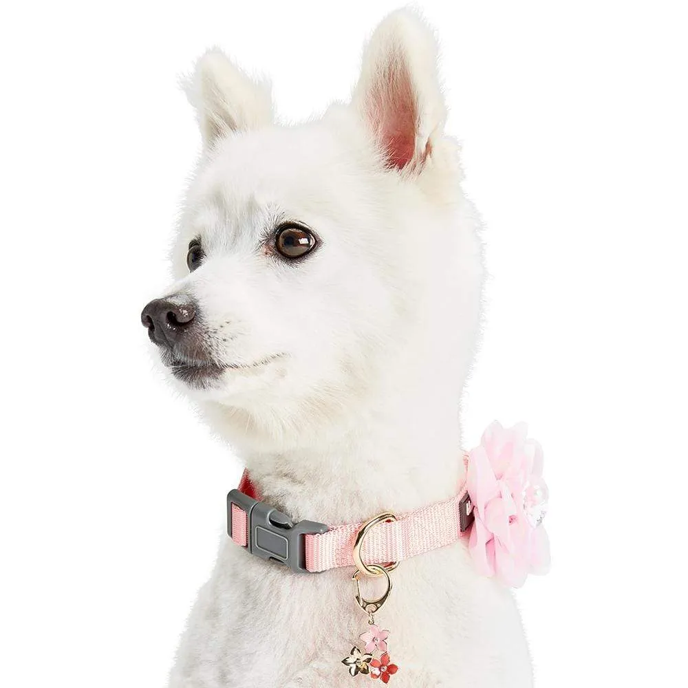 Bloom and Blossom Collar Accessory Set