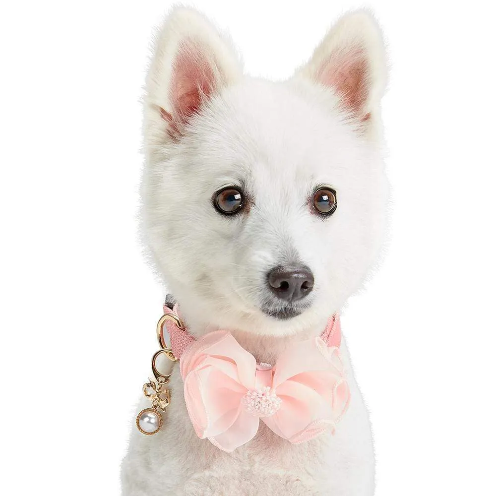 Bloom and Blossom Collar Accessory Set