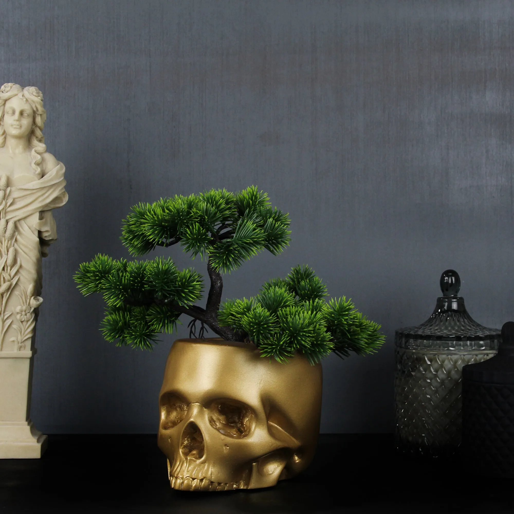 Bonsai Skull Head