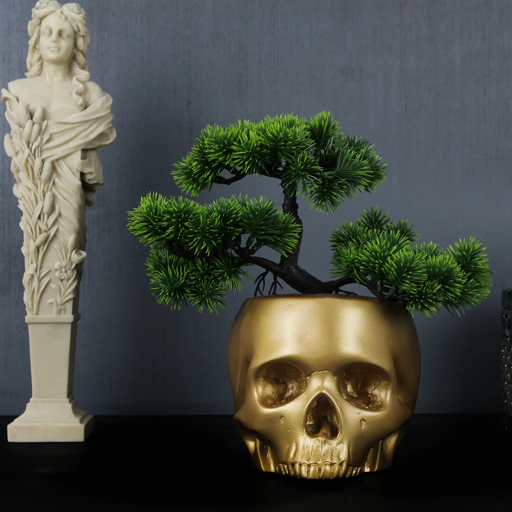 Bonsai Skull Head