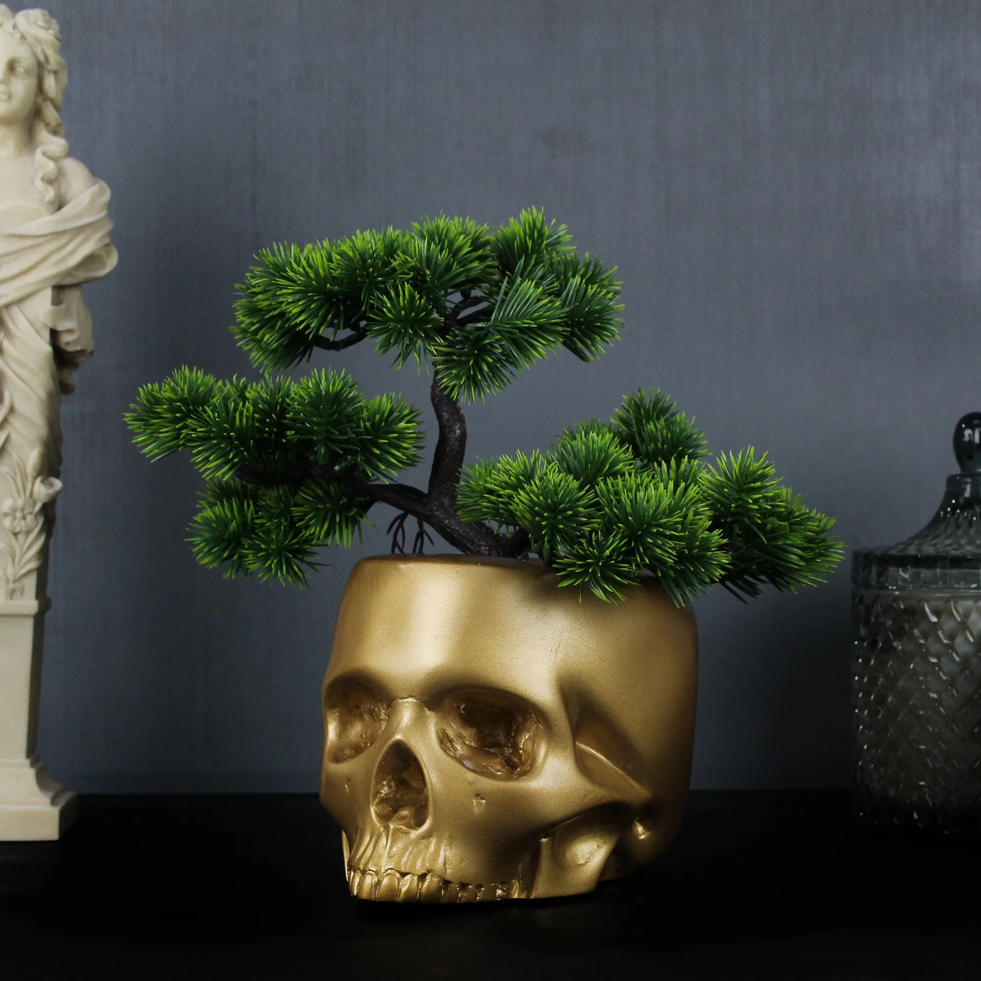 Bonsai Skull Head