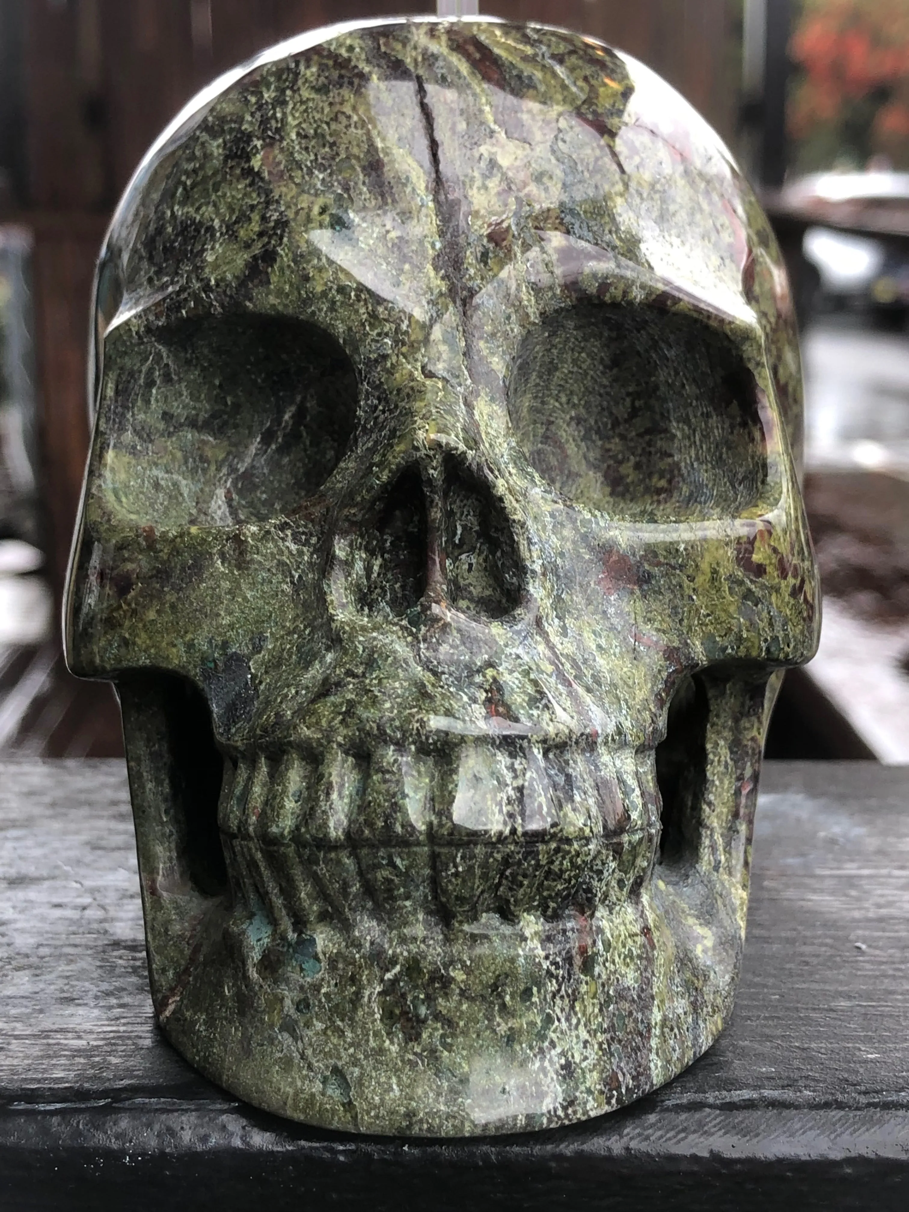 Dragon's Blood Jasper Skull [1k1424]