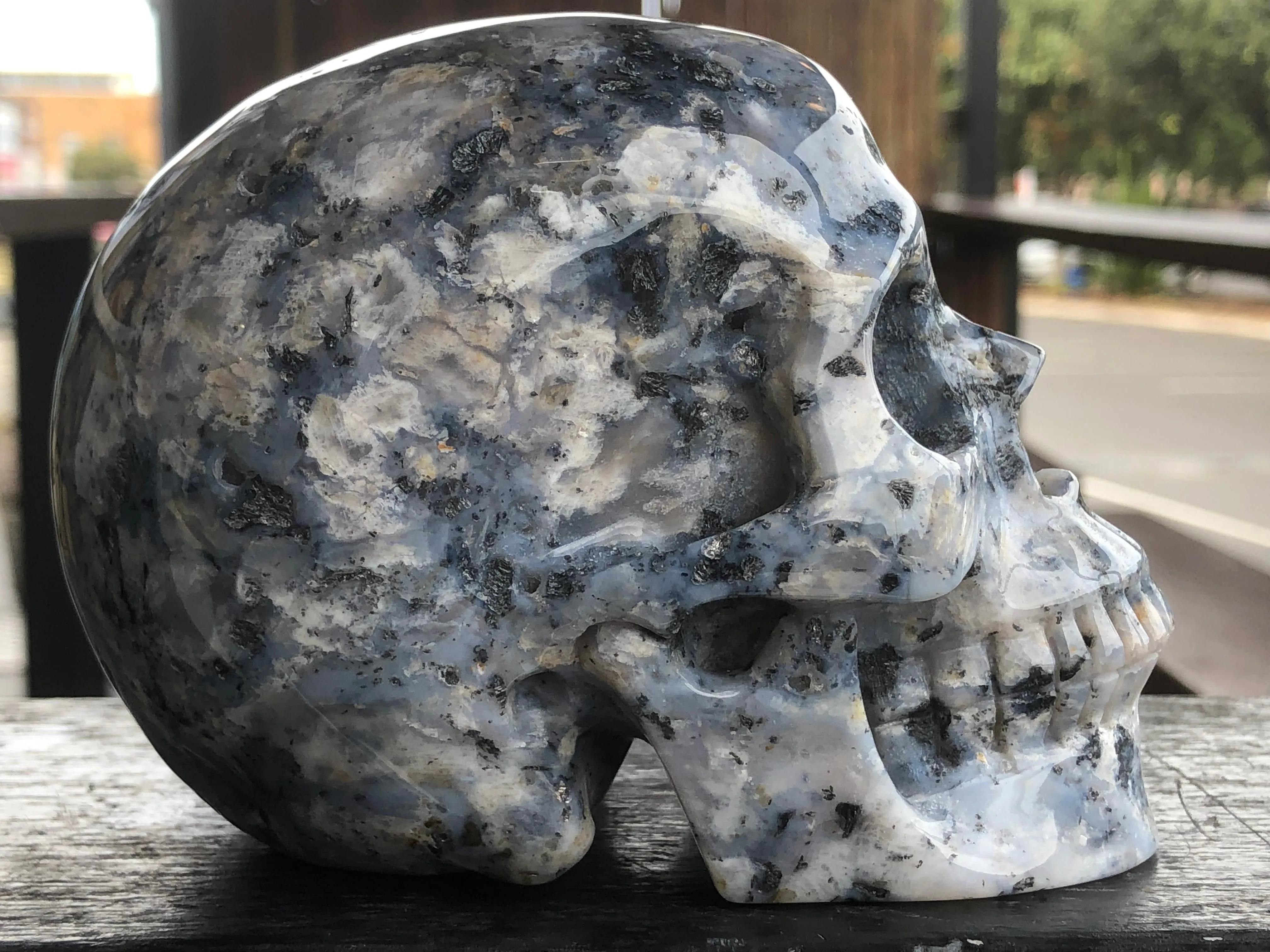 Flower Agate Skull [1k1501]