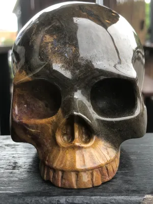 Indian Agate Jawless Skull [1k1595]