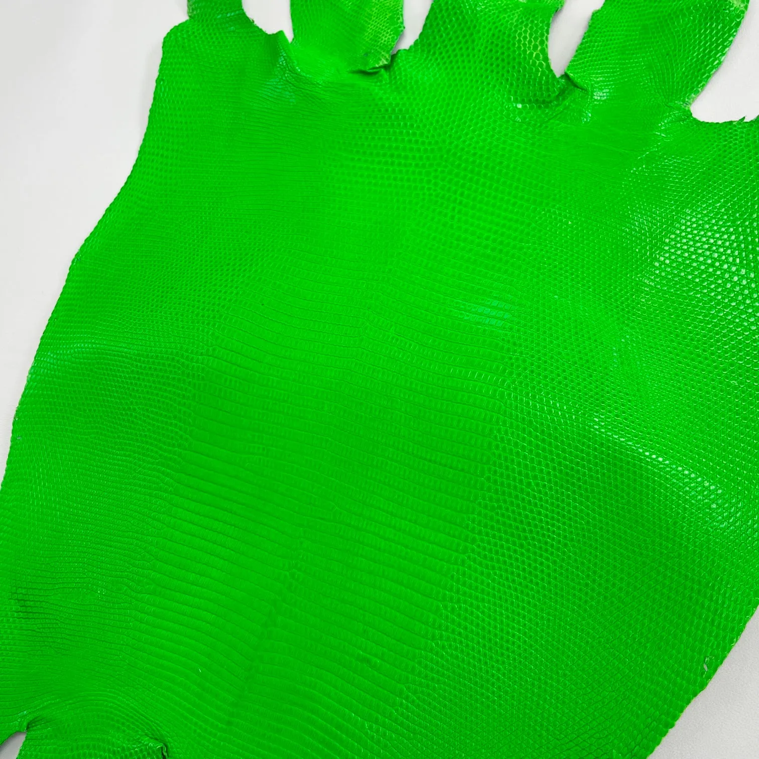 Lizard Skin | Neon Green (Back Cut)