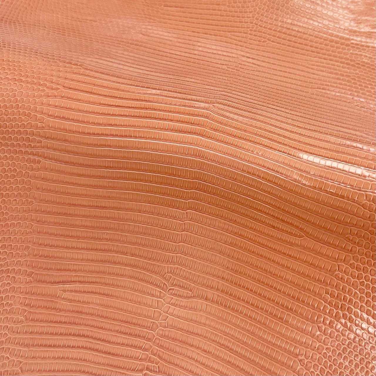 Lizard Skin | Patte Orange (Back Cut)