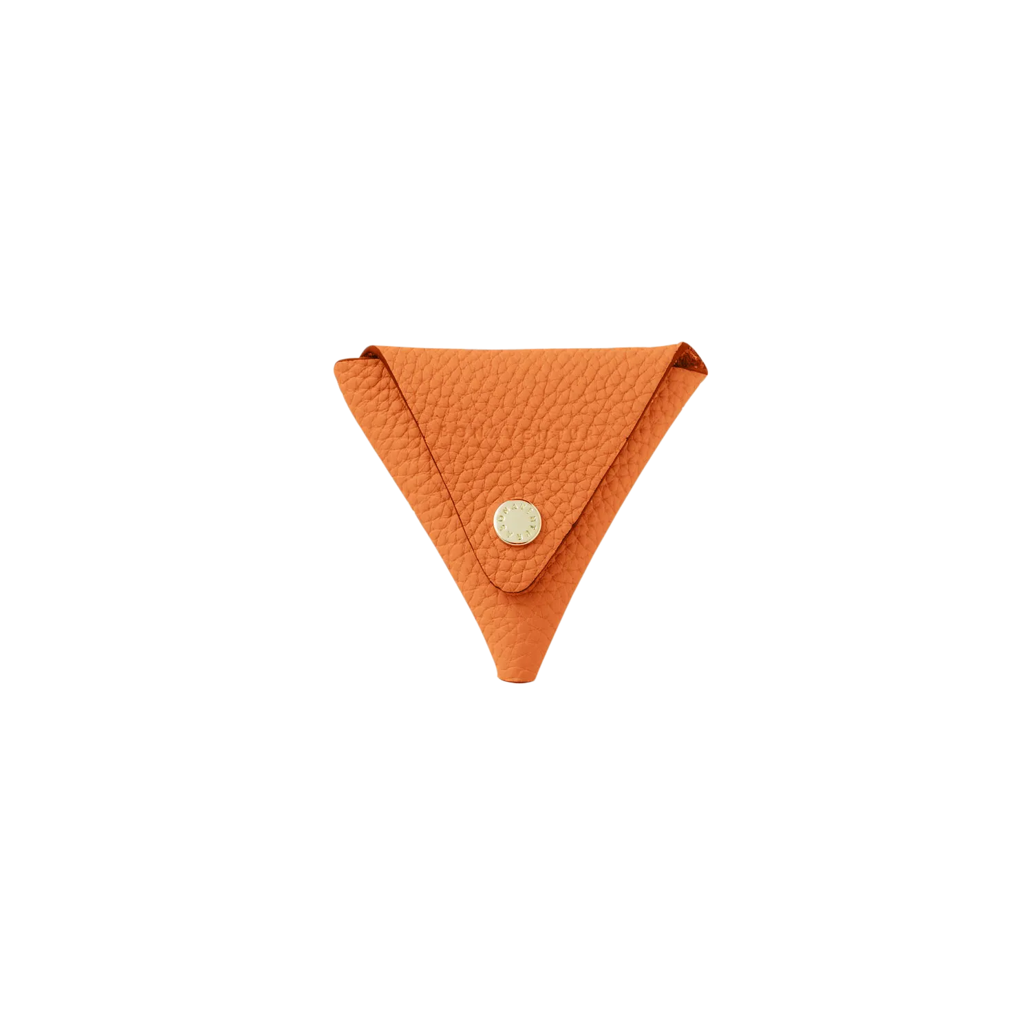 Triangle Coin Case