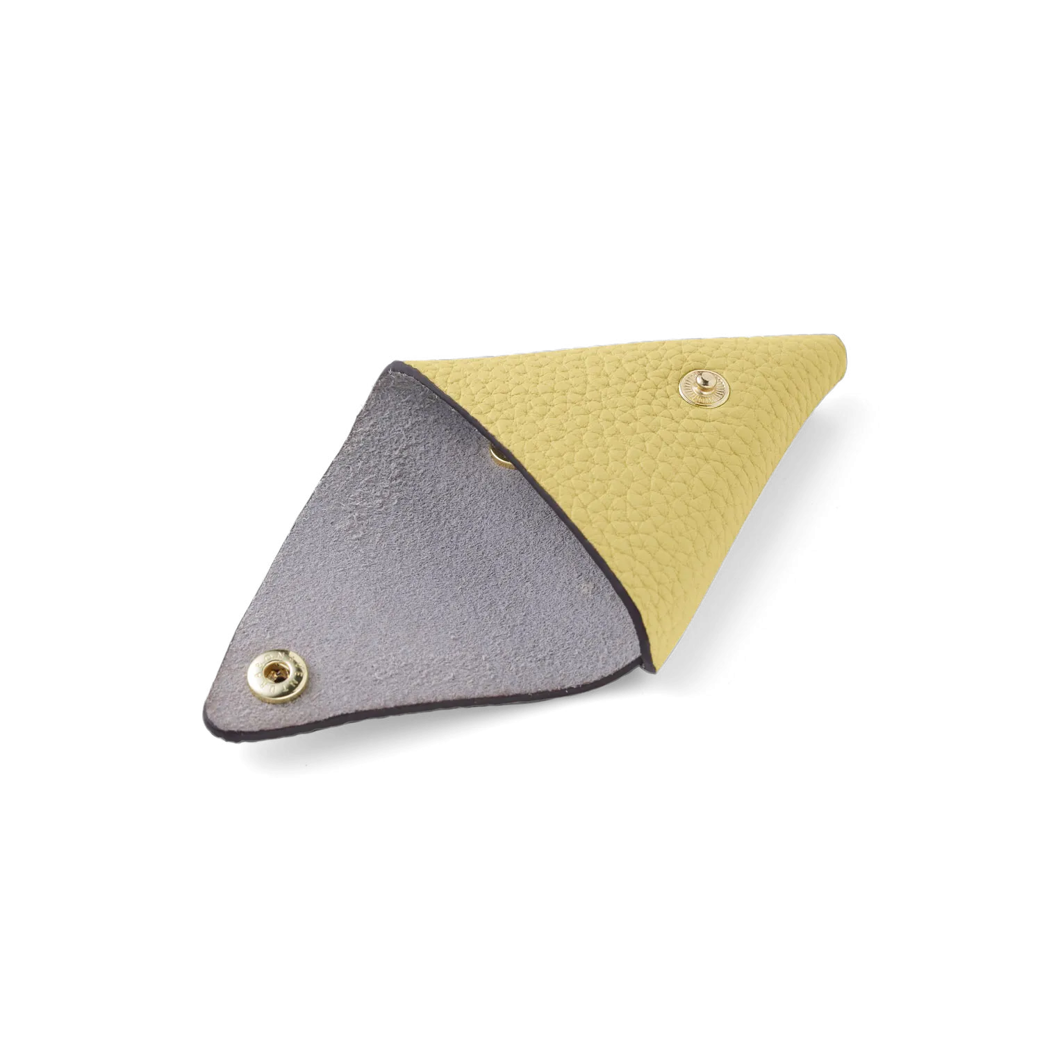 Triangle Coin Case