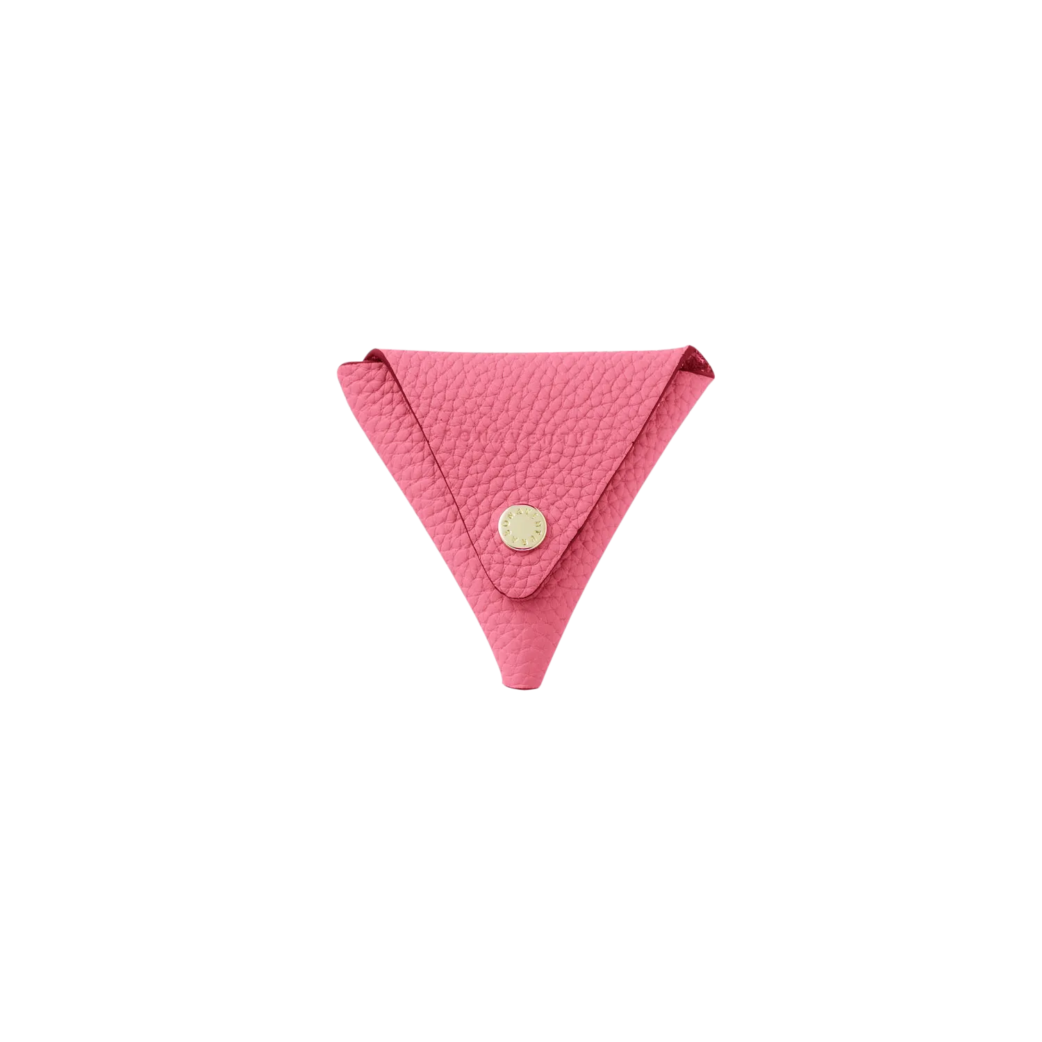 Triangle Coin Case