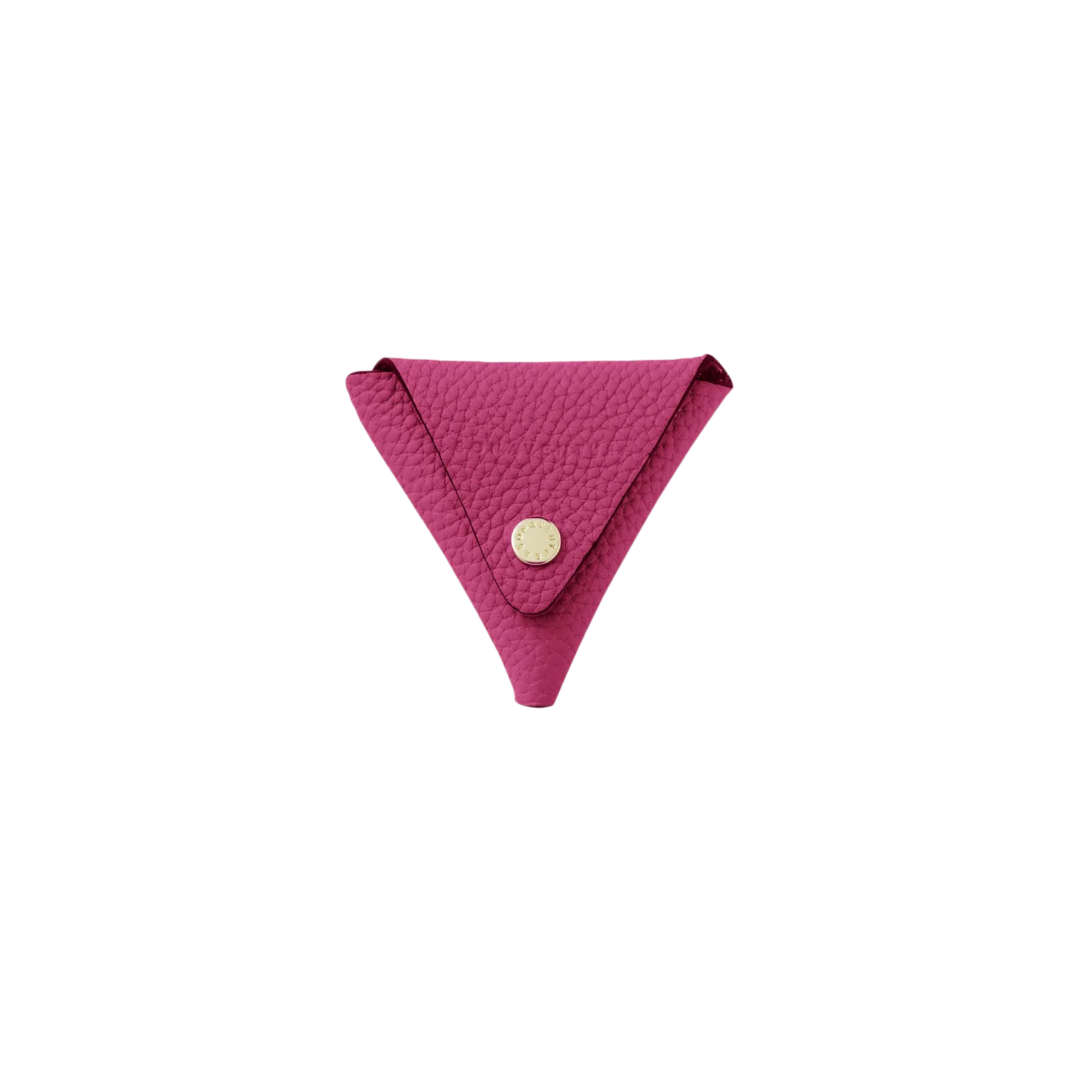 Triangle Coin Case