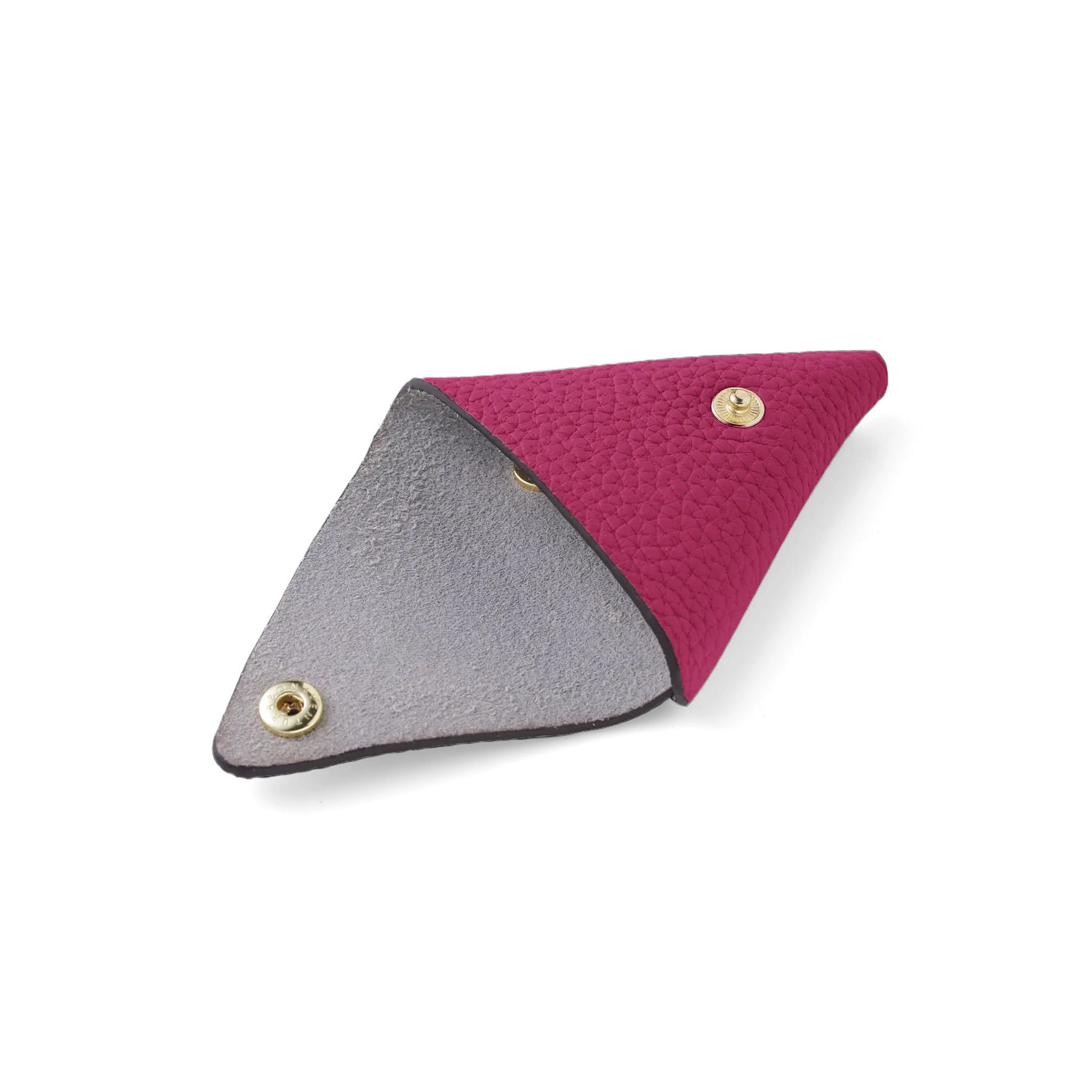 Triangle Coin Case